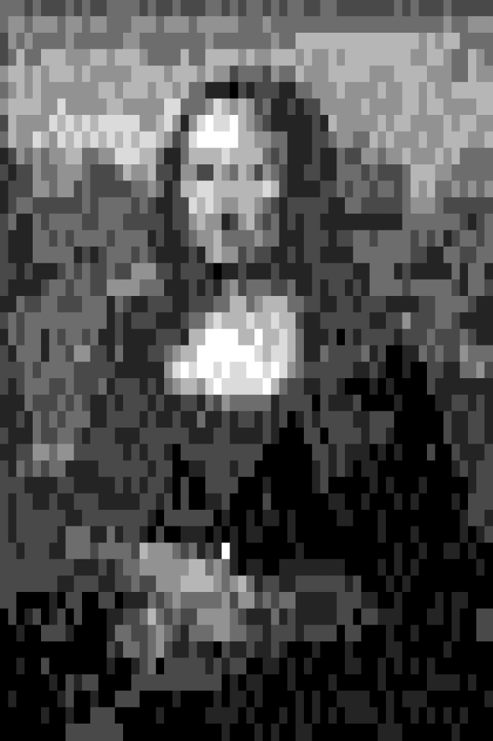 A pixelated Mona Lisa